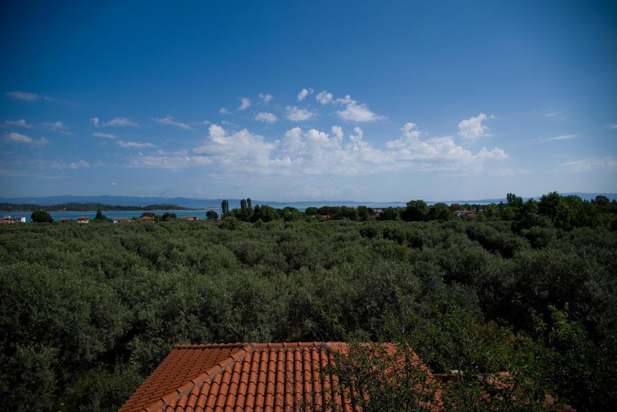 Olivegrove House - Housity