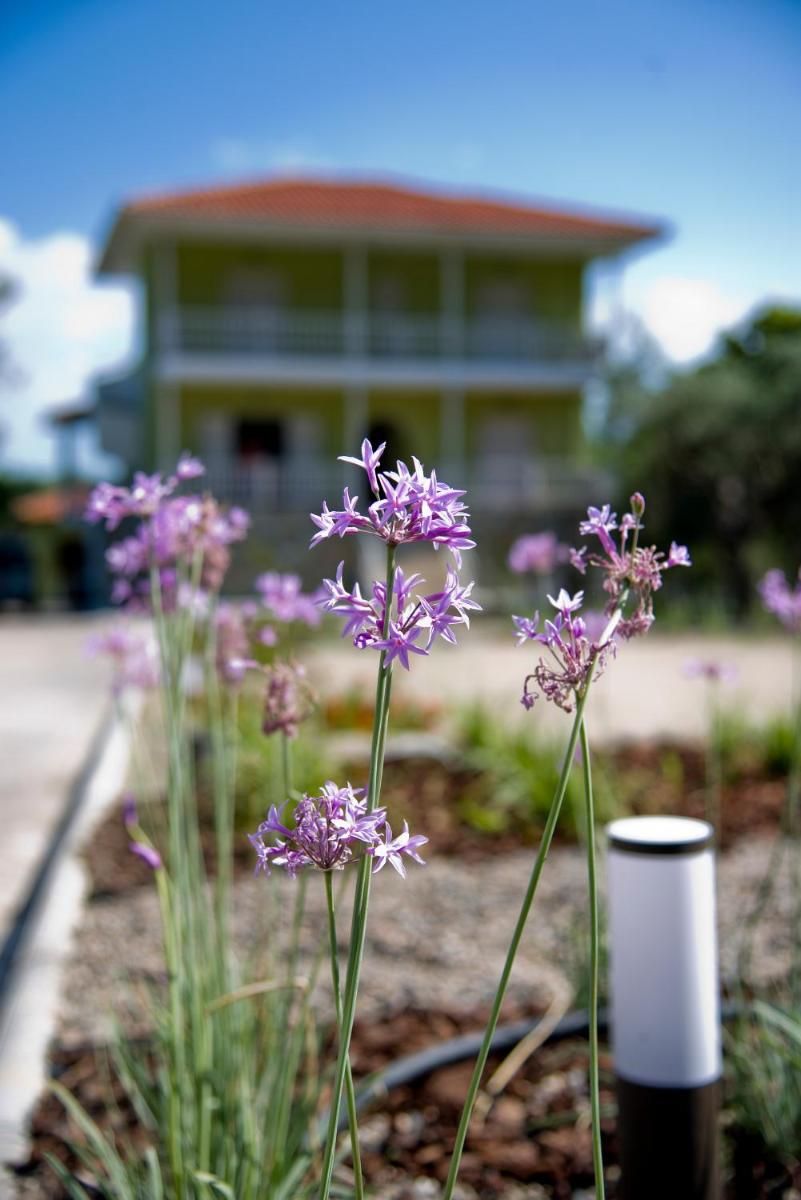 Olivegrove House - Housity