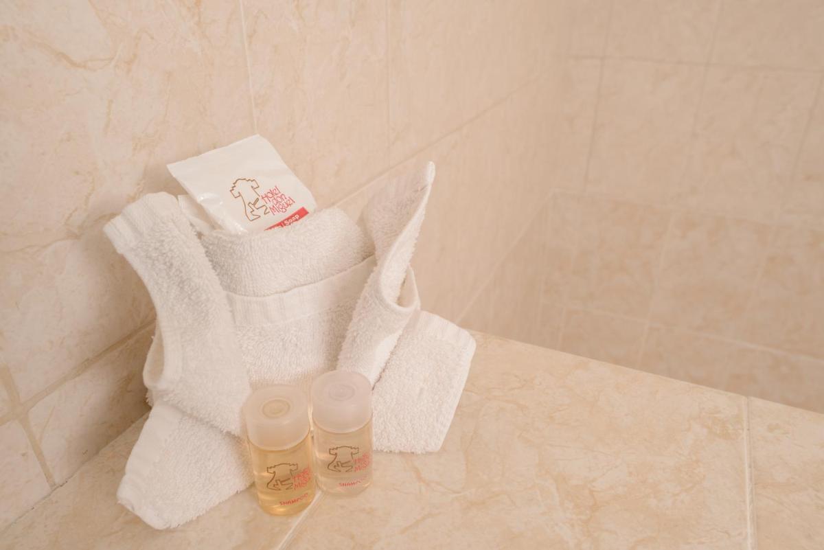 HOTEL DON MIGUEl - Housity