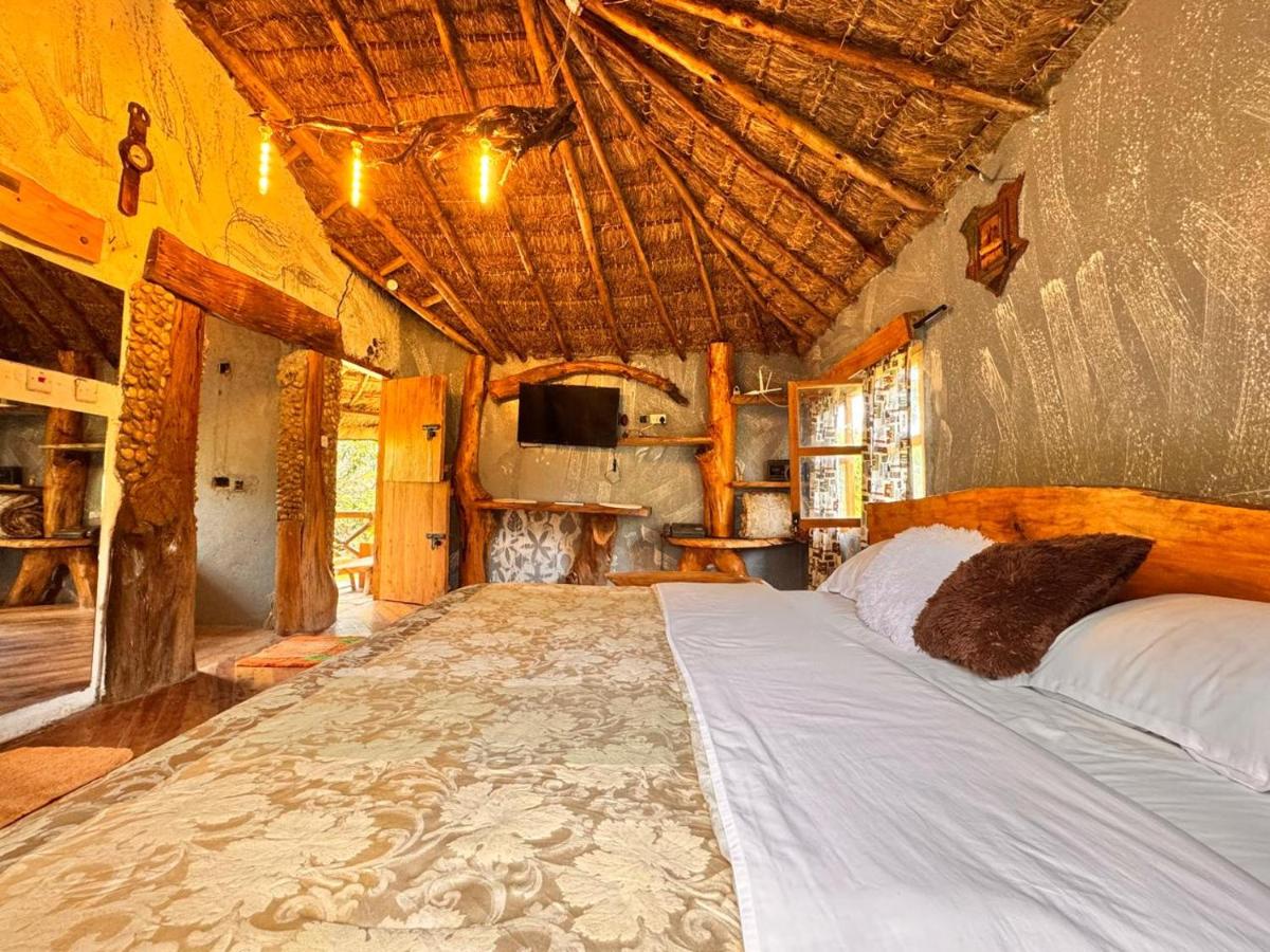Podocarpus cottages - Housity
