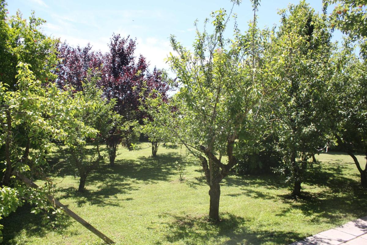 Tenuta Lio Maggiore - Housity