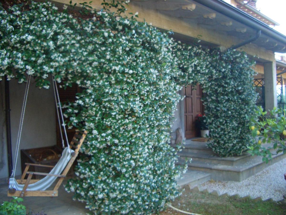B&B Luce Riflessa - Hizvo