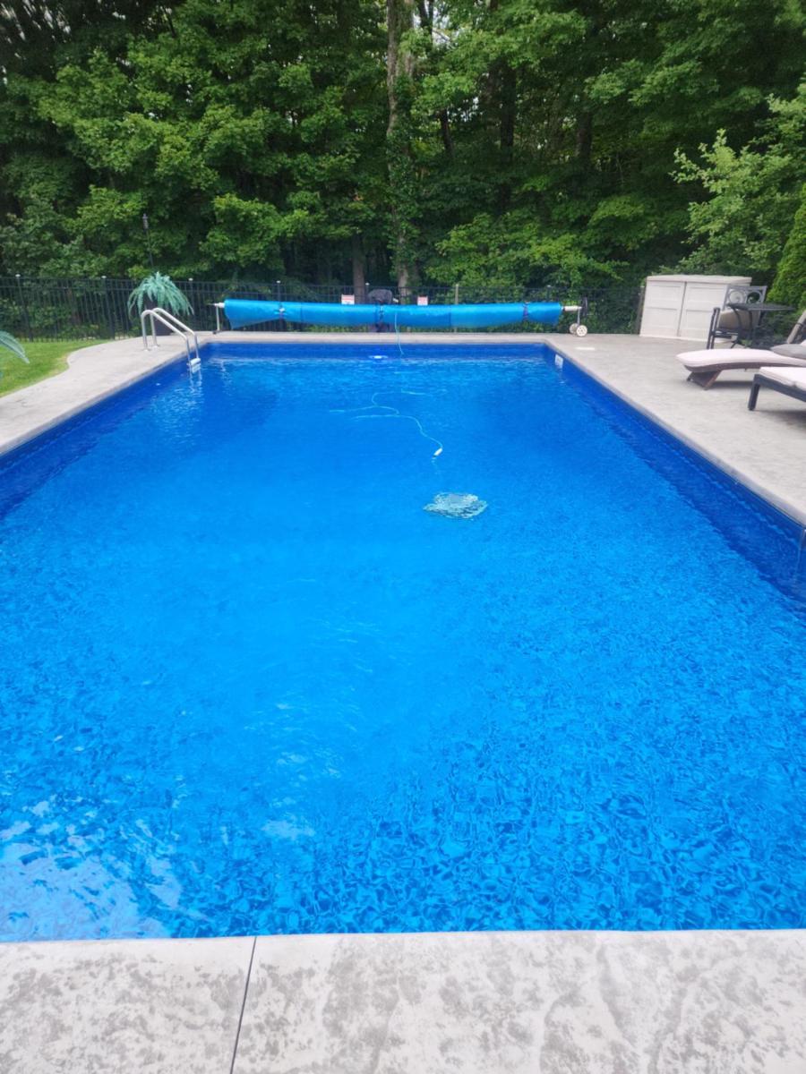 Comfortable, spacious, 1bdrm basement apartment, sleeps 4 - Housity