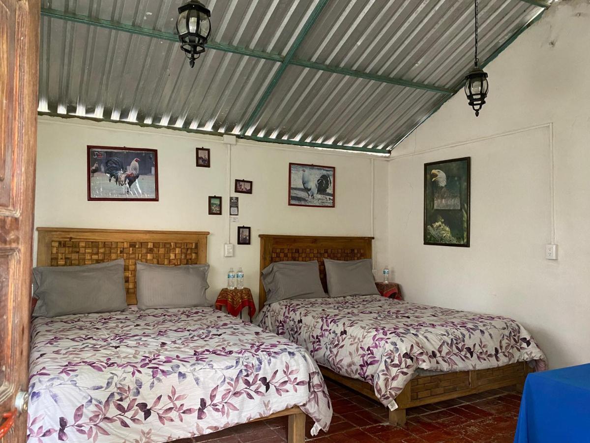 Villa Sofia - Housity