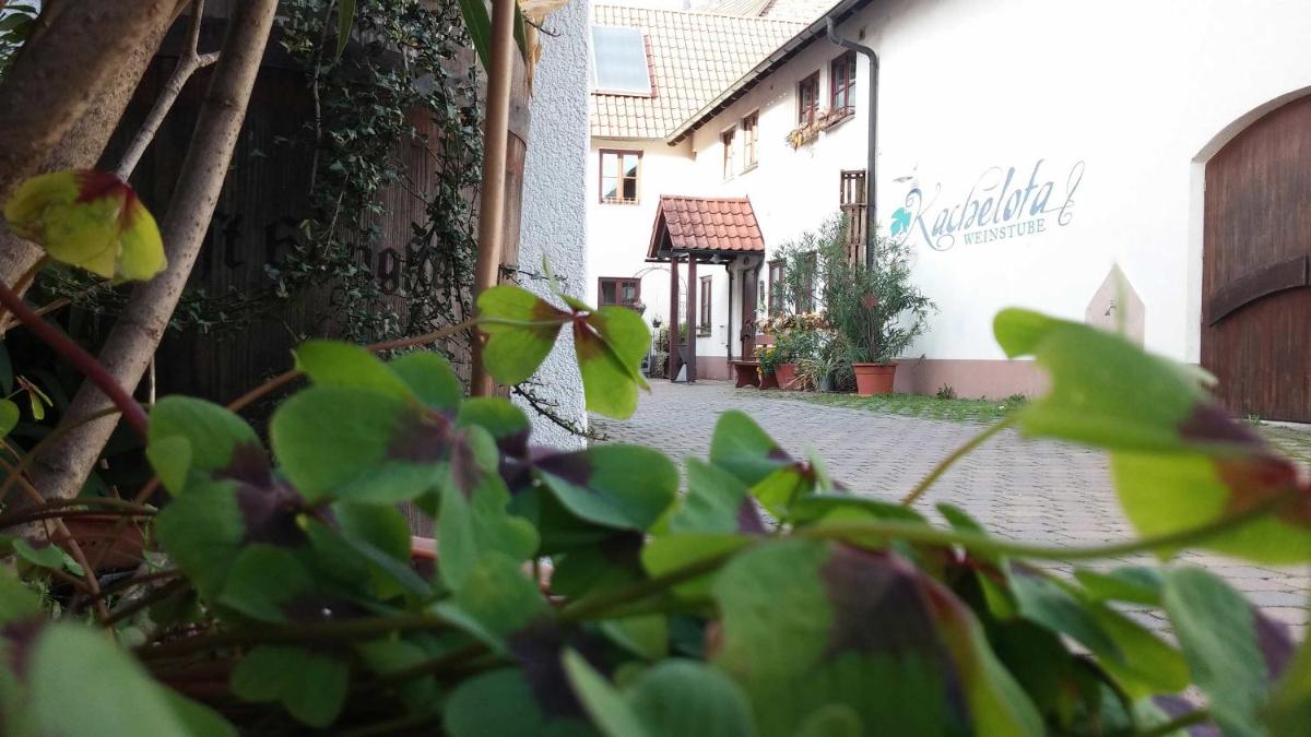 Pension Gästehaus Kachelofa - Housity