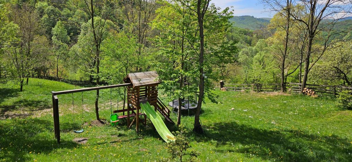 Forest House Doftana - Hizvo