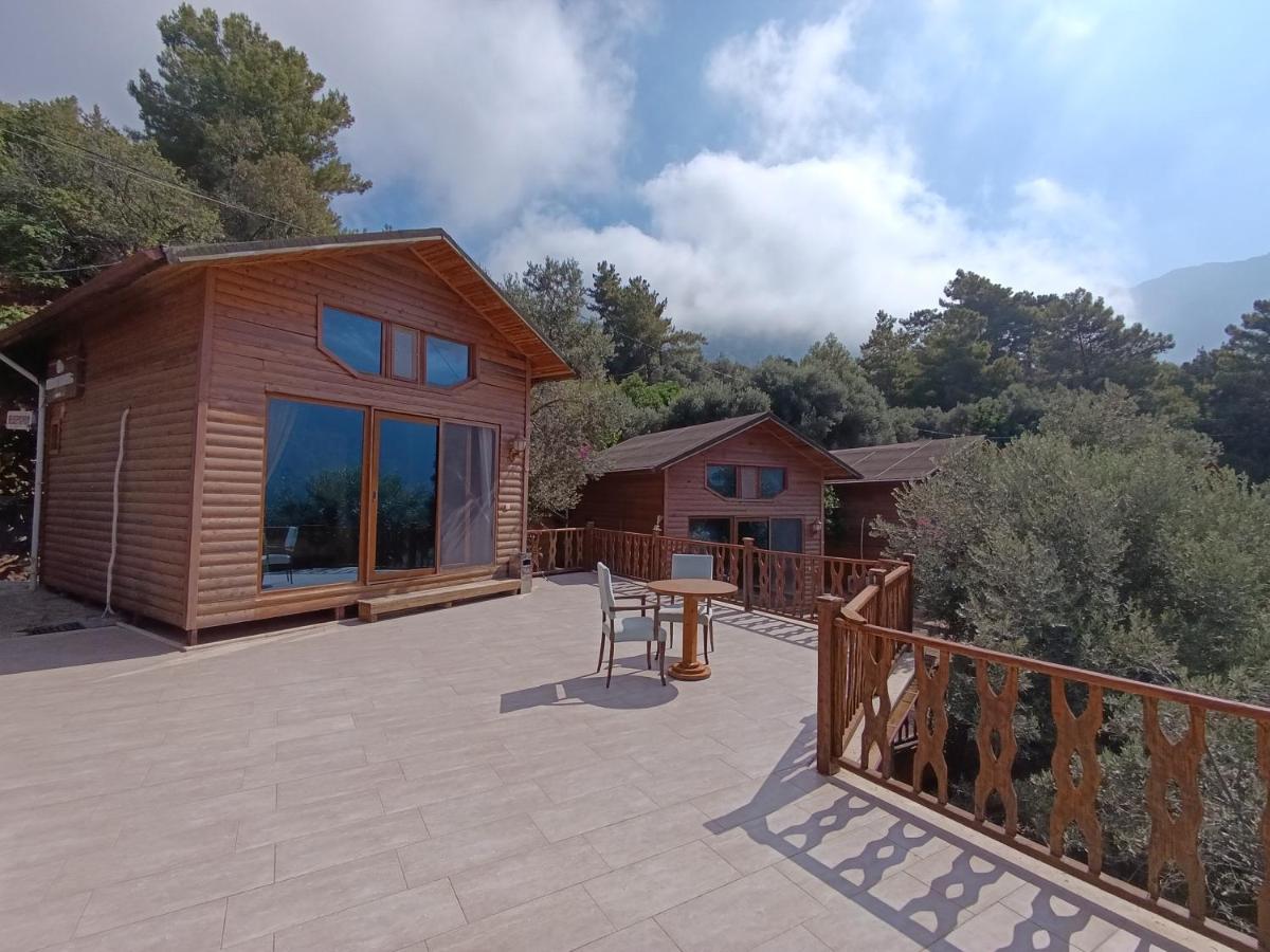 Kabak Armes Otel - Housity