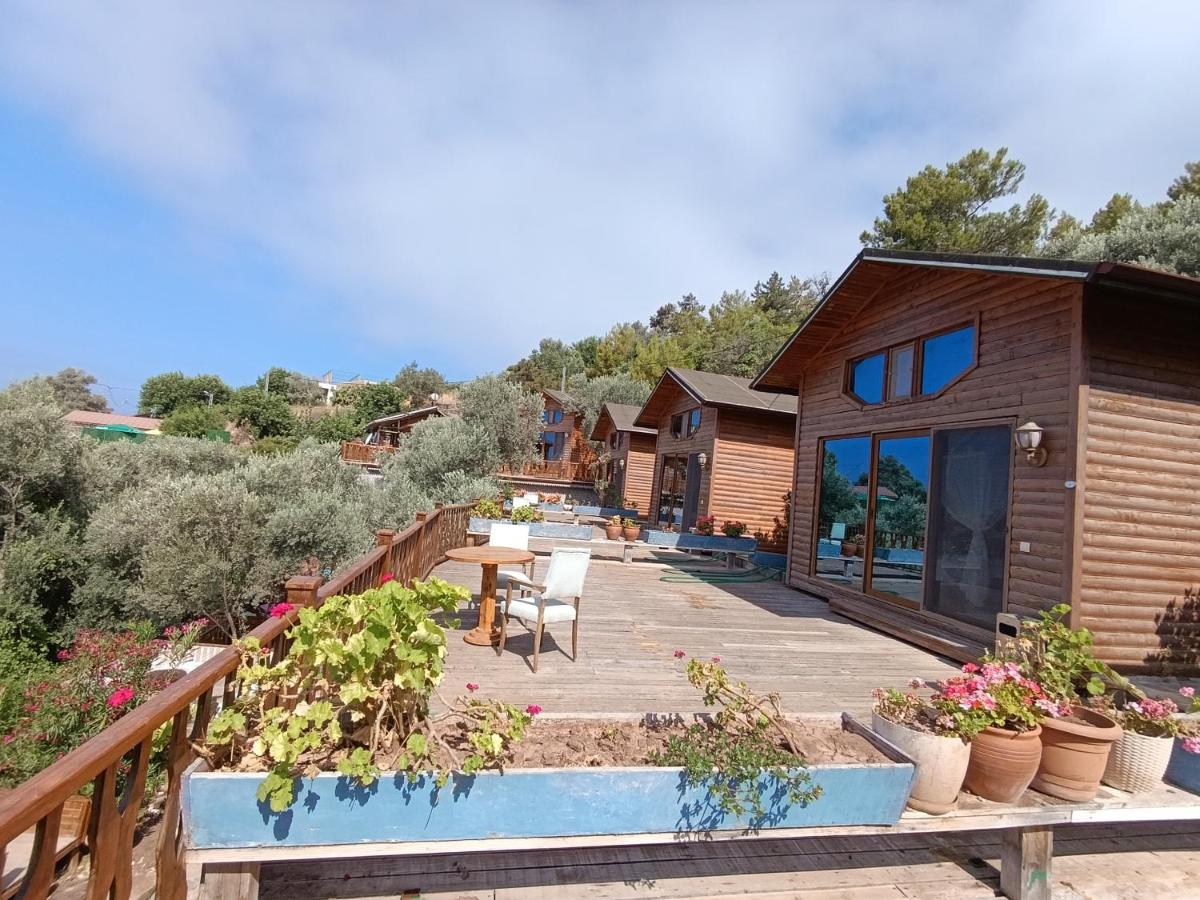Kabak Armes Otel - Housity