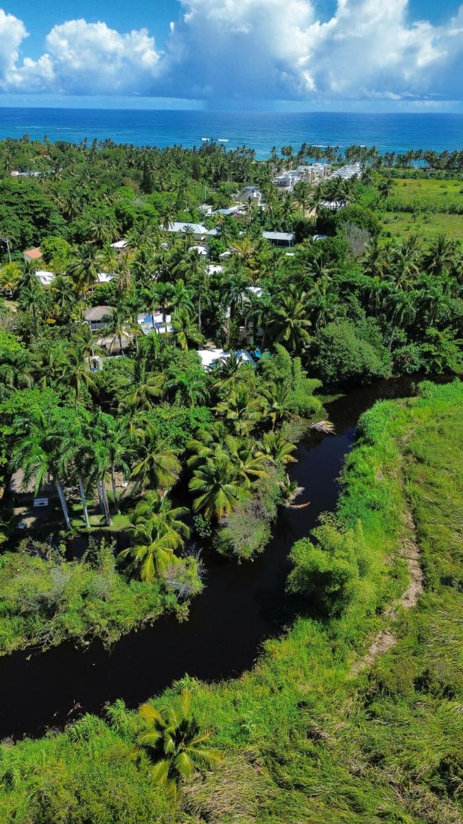 Kibayo Cabarete Boutique Hotel - Housity