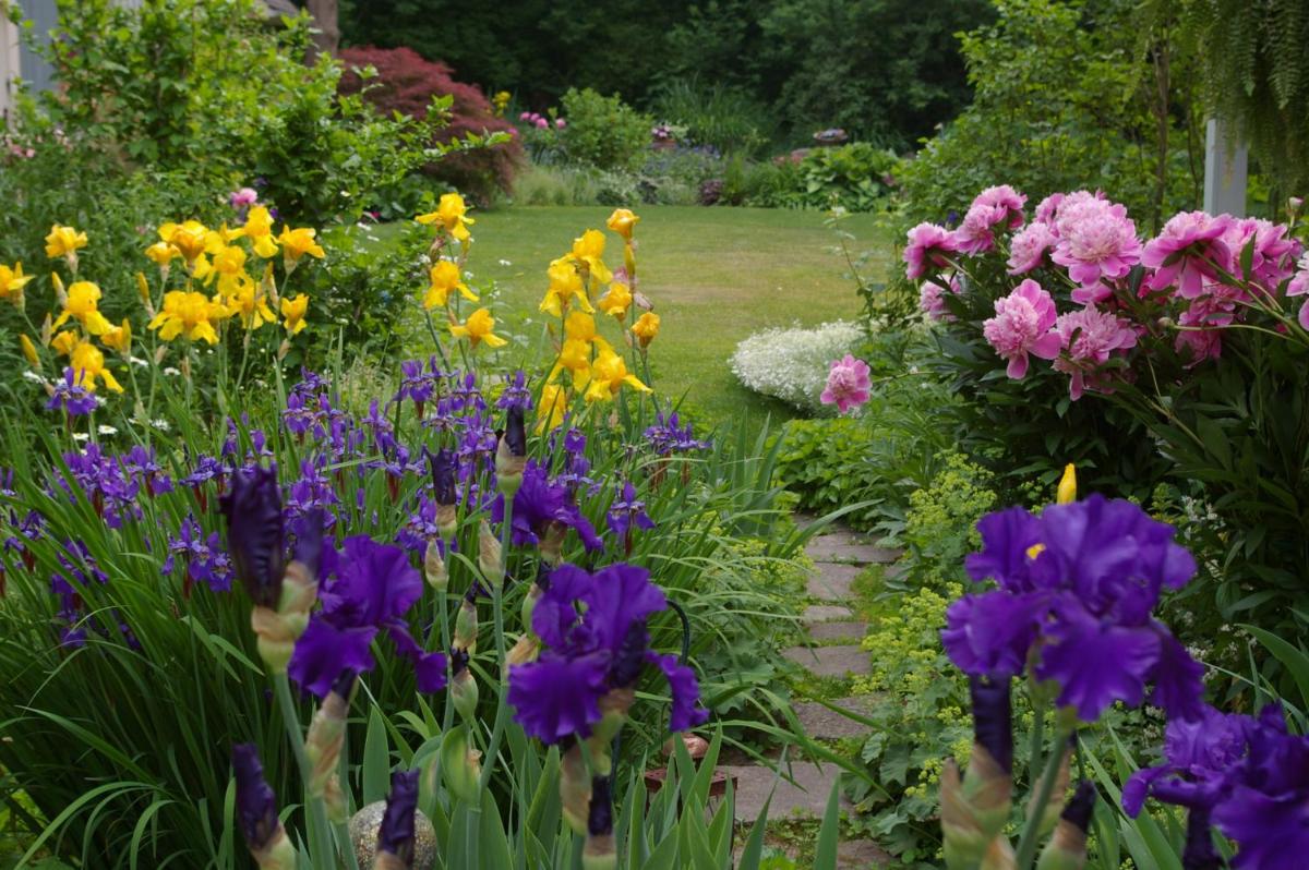 Suitetrails - Royal Manor Bed & Breakfast