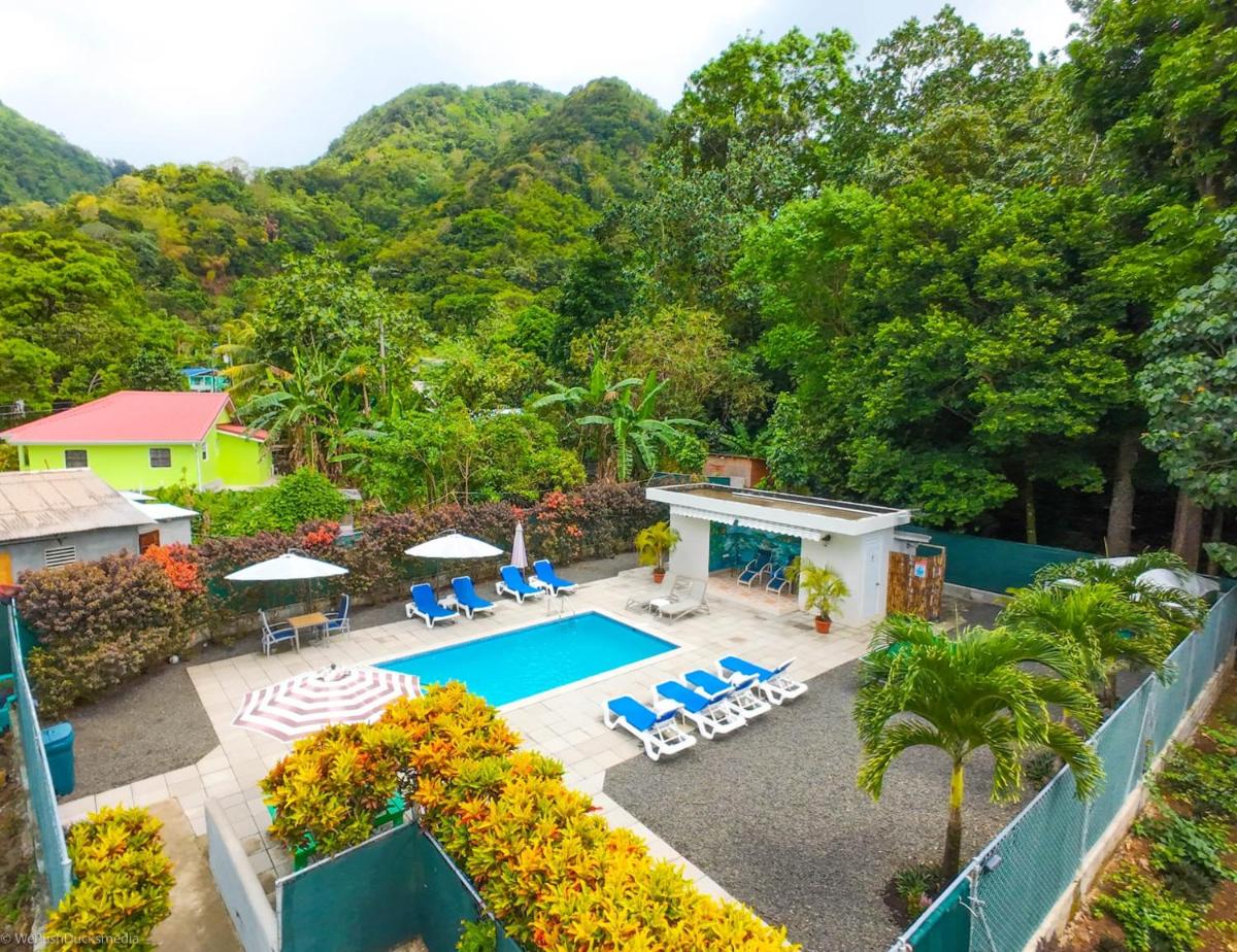 Amazon Villas - Housity