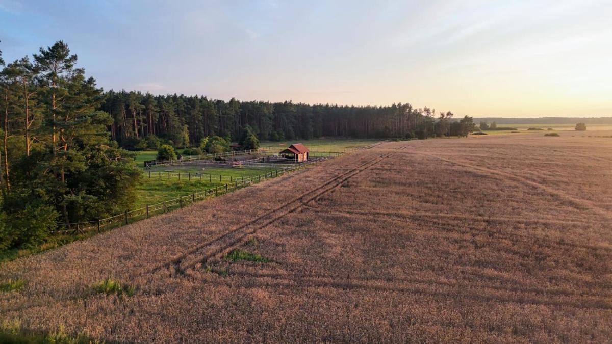 Nocleg na skraju puszczy - Housity