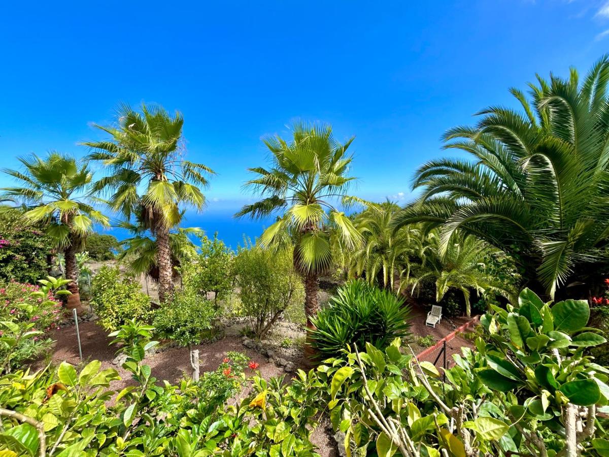 Finca Tenerife - Authentisches kanarisches Haus mit Traumblick und tropischem Garten - Housity