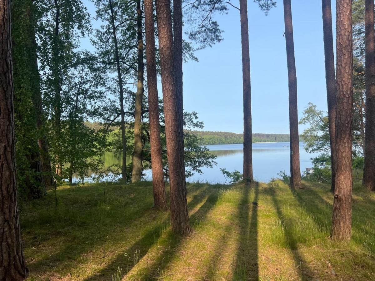 Borowy Glamp więcej niż domki - Housity
