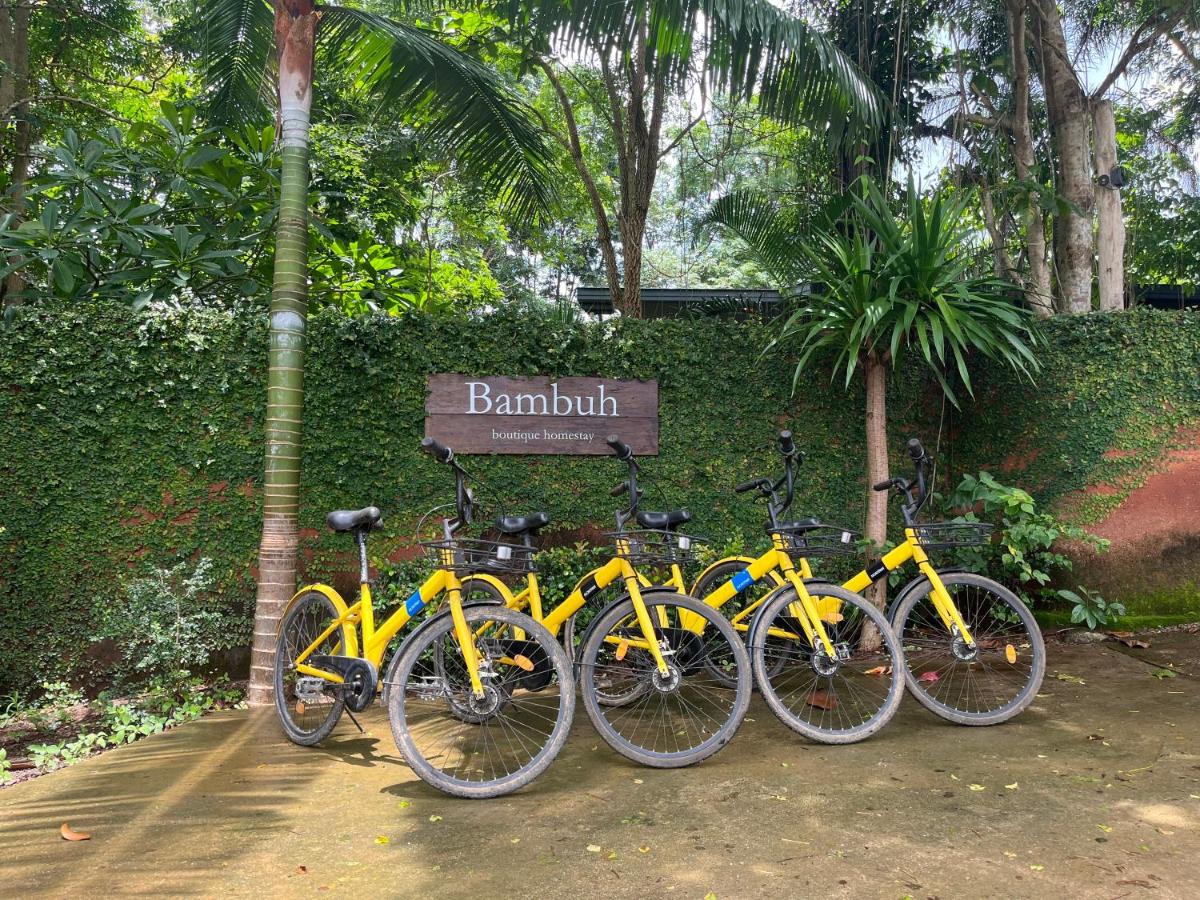 Bambuh Boutique Homestay - Housity