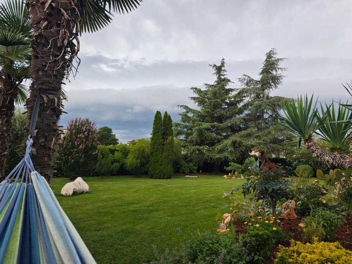 Apartments Norma - Housity
