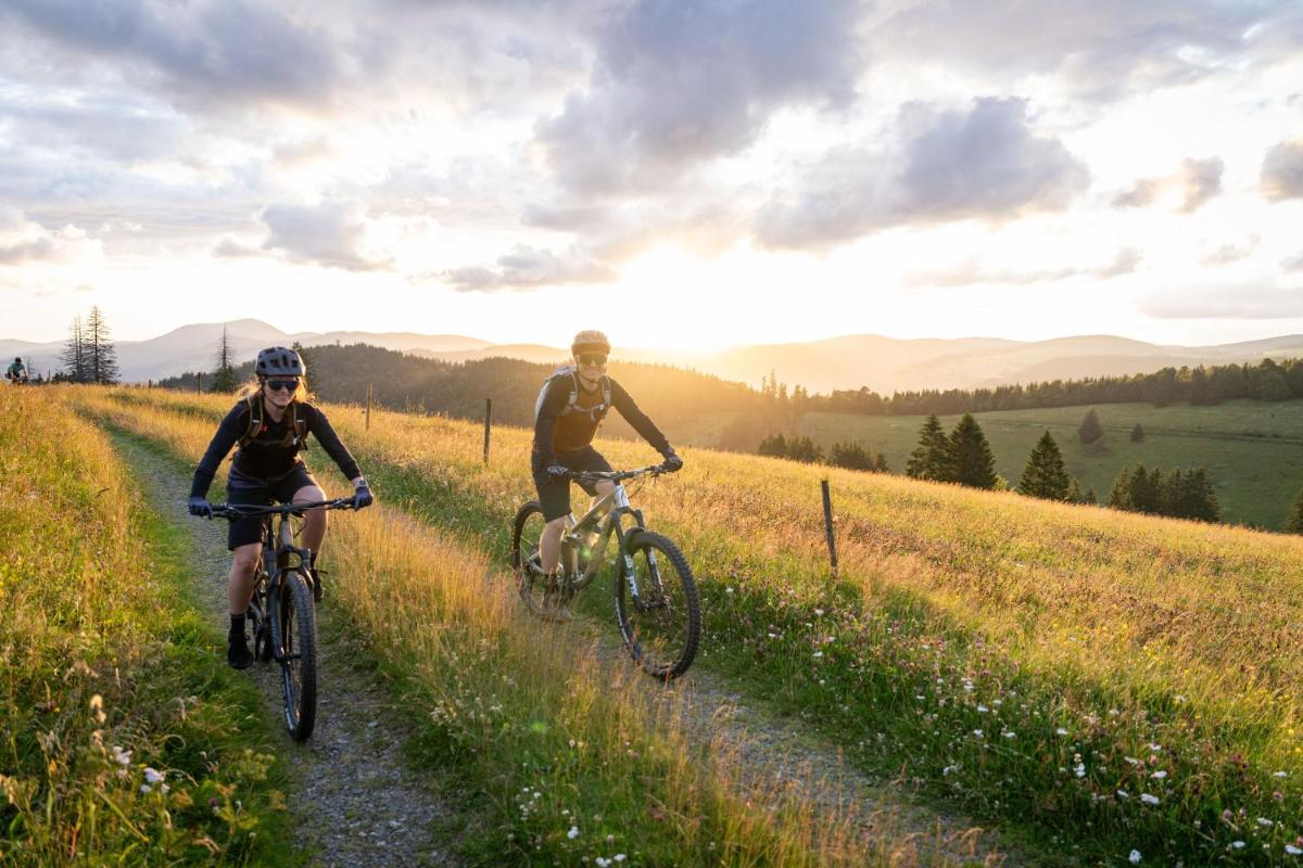 Bergseele Privat- & Retreathotel Schwarzwald - Housity