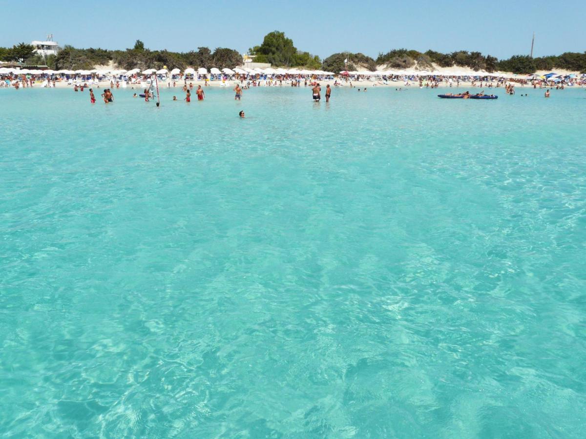 Salenterra B&B (Salento) - Housity