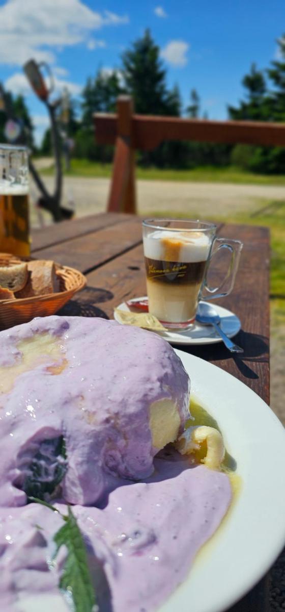 Krkonošská chaloupka - Housity