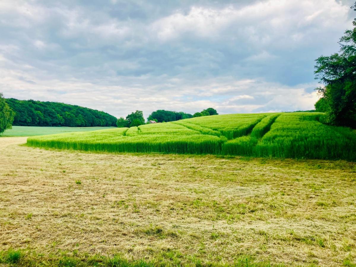 Gästehaus Alte Liebe - Housity