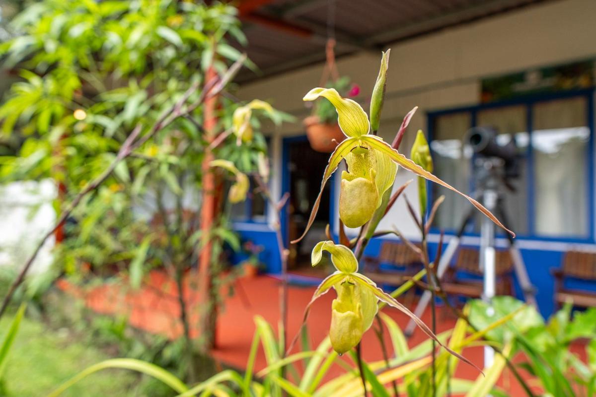 Wildlife Paradise - Housity