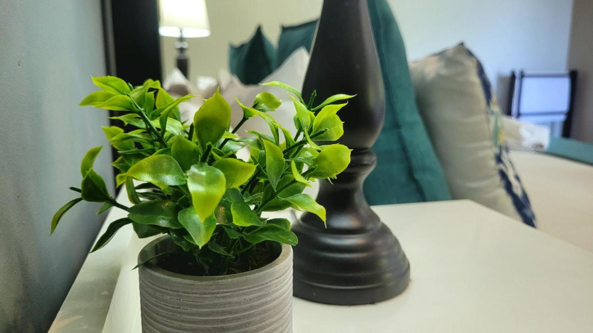 Deja' Blu Bed and Breakfast - Housity