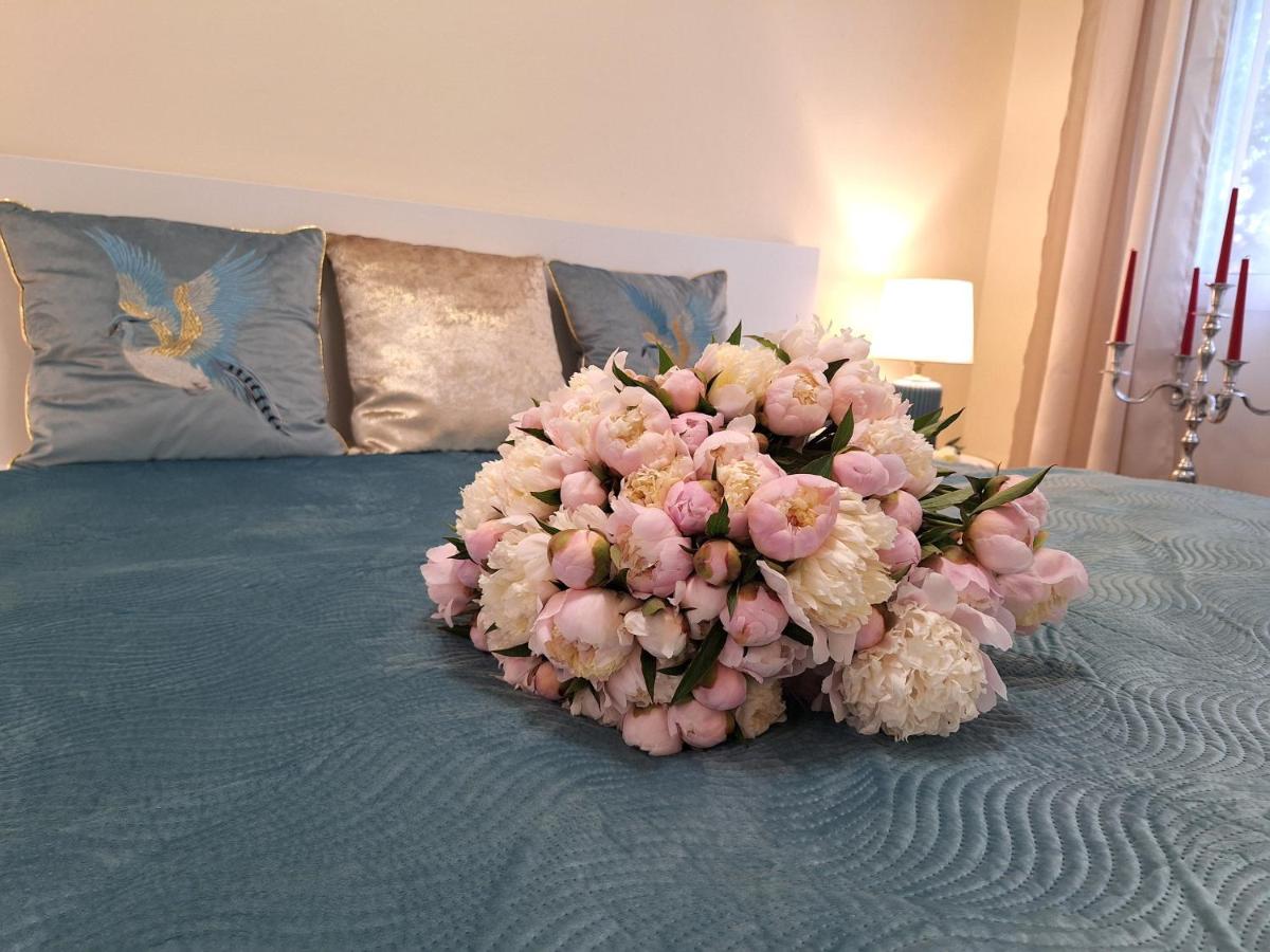 Albina apartman - Housity