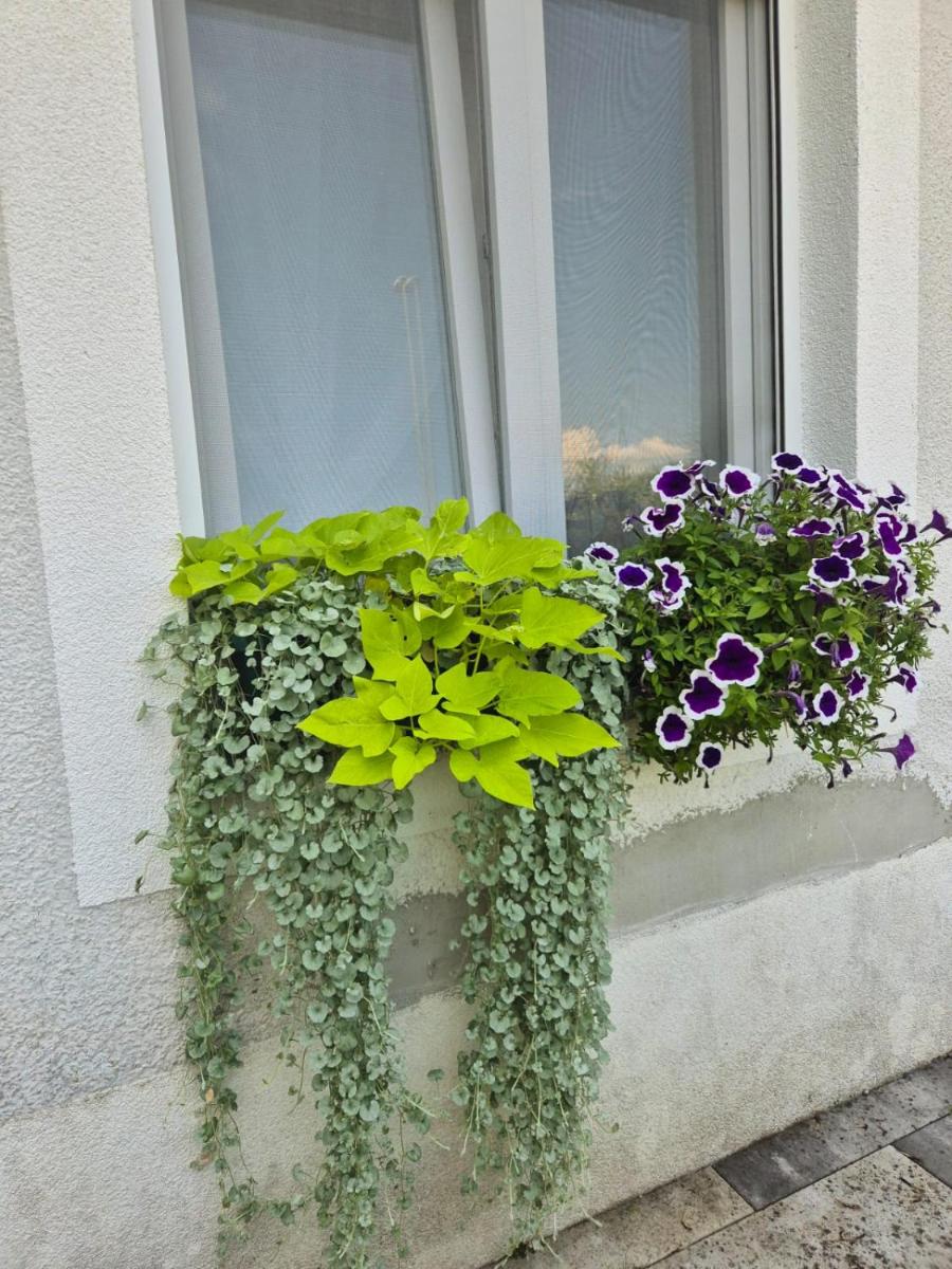 Apartment Ksenija 2 rooms, 55m2 brand-new, Floor heating, Air conditioning - Housity