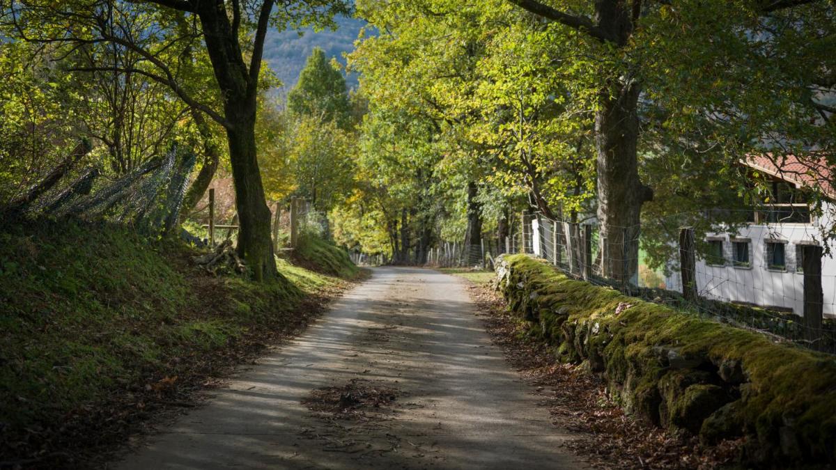 Paisaje cerca de este hotel