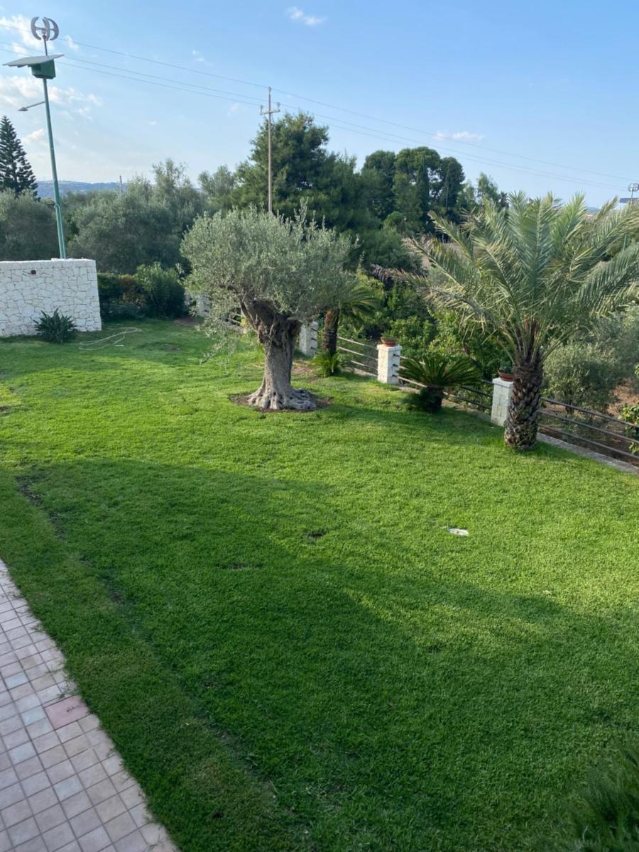 Oasi di Sicilia - Housity