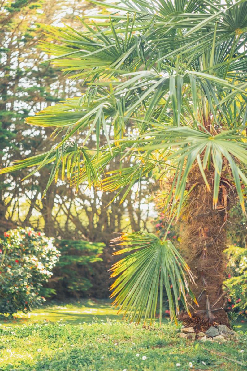 Jardin de l'établissement Le Galet Hotel & Spa