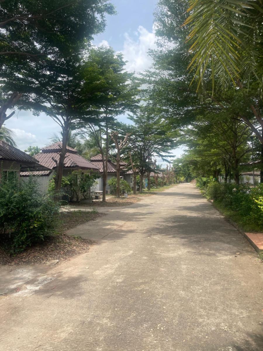 กอข้าว รีสอร์ท - Housity
