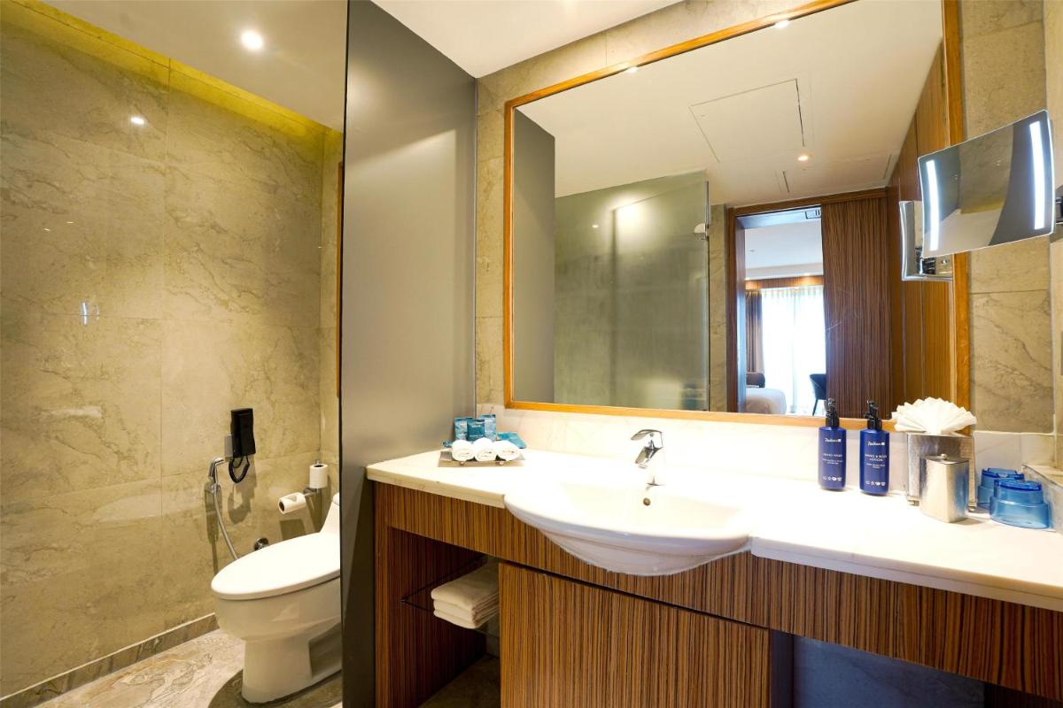 a bathroom with a sink and a toilet and a mirror at Radisson Blu Hotel Amritsar in Amritsar
