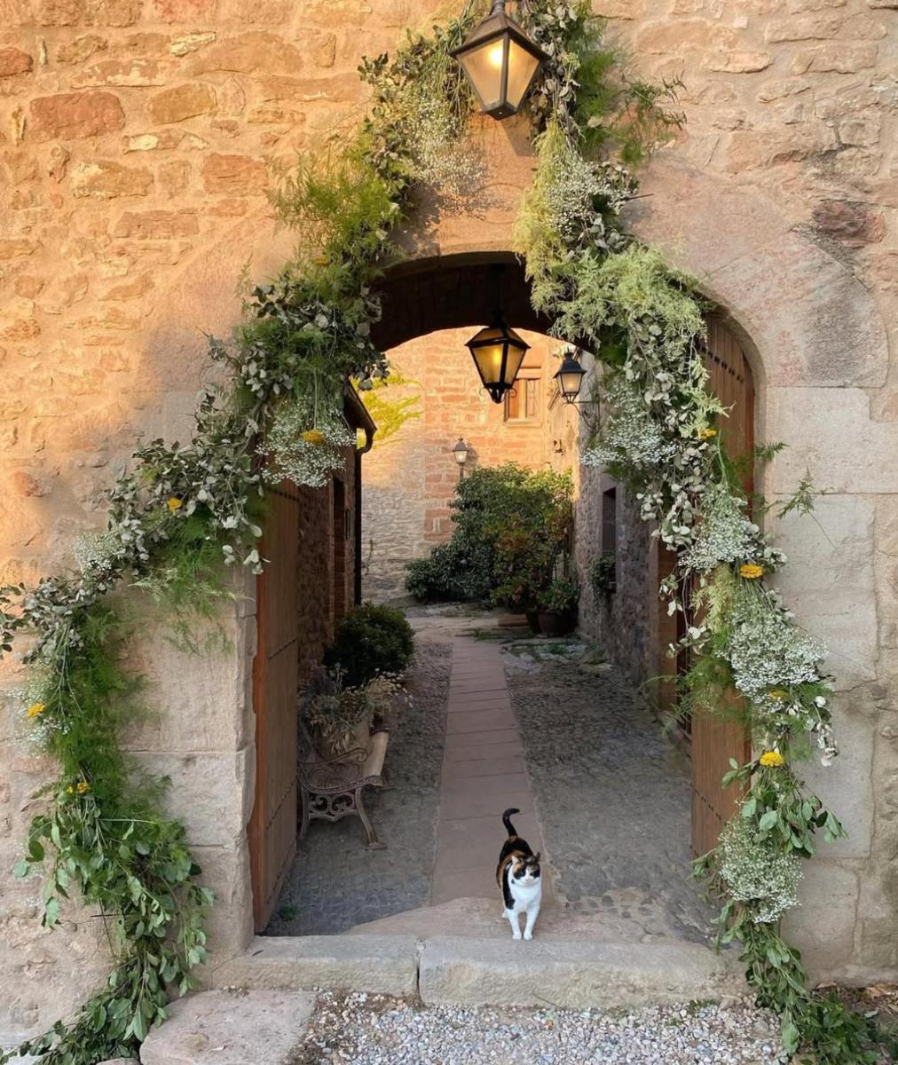 Mascotas con sus dueños en La Garriga de Castelladral
