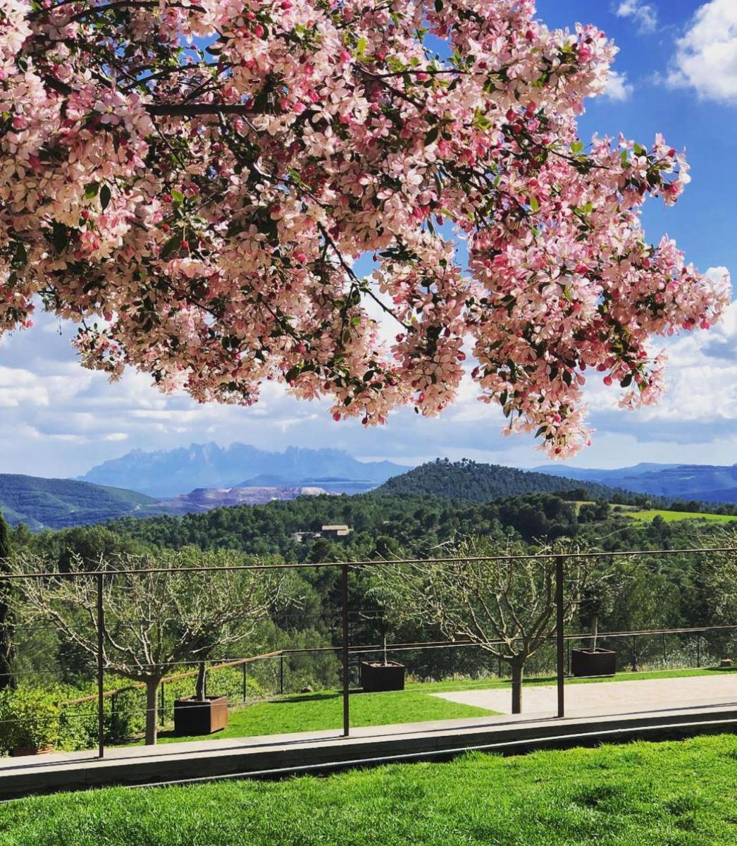 Paisaje cerca de este hotel