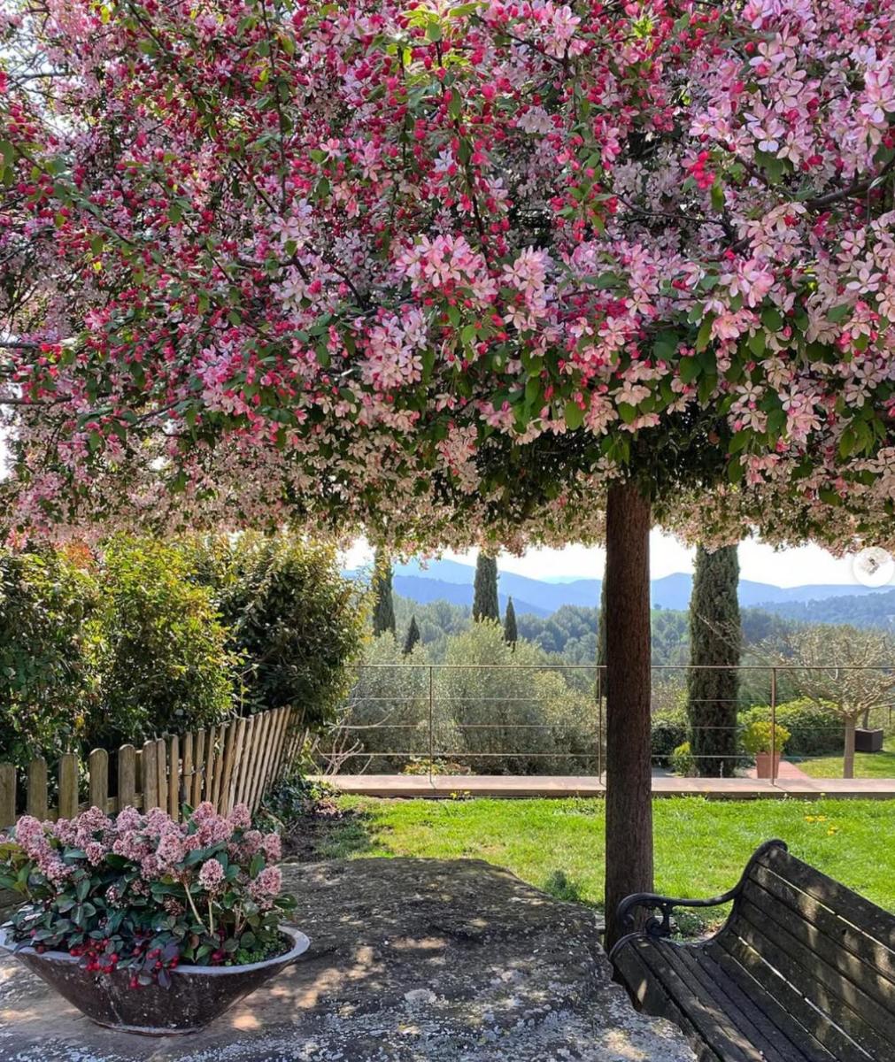 Jardín al aire libre en La Garriga de Castelladral