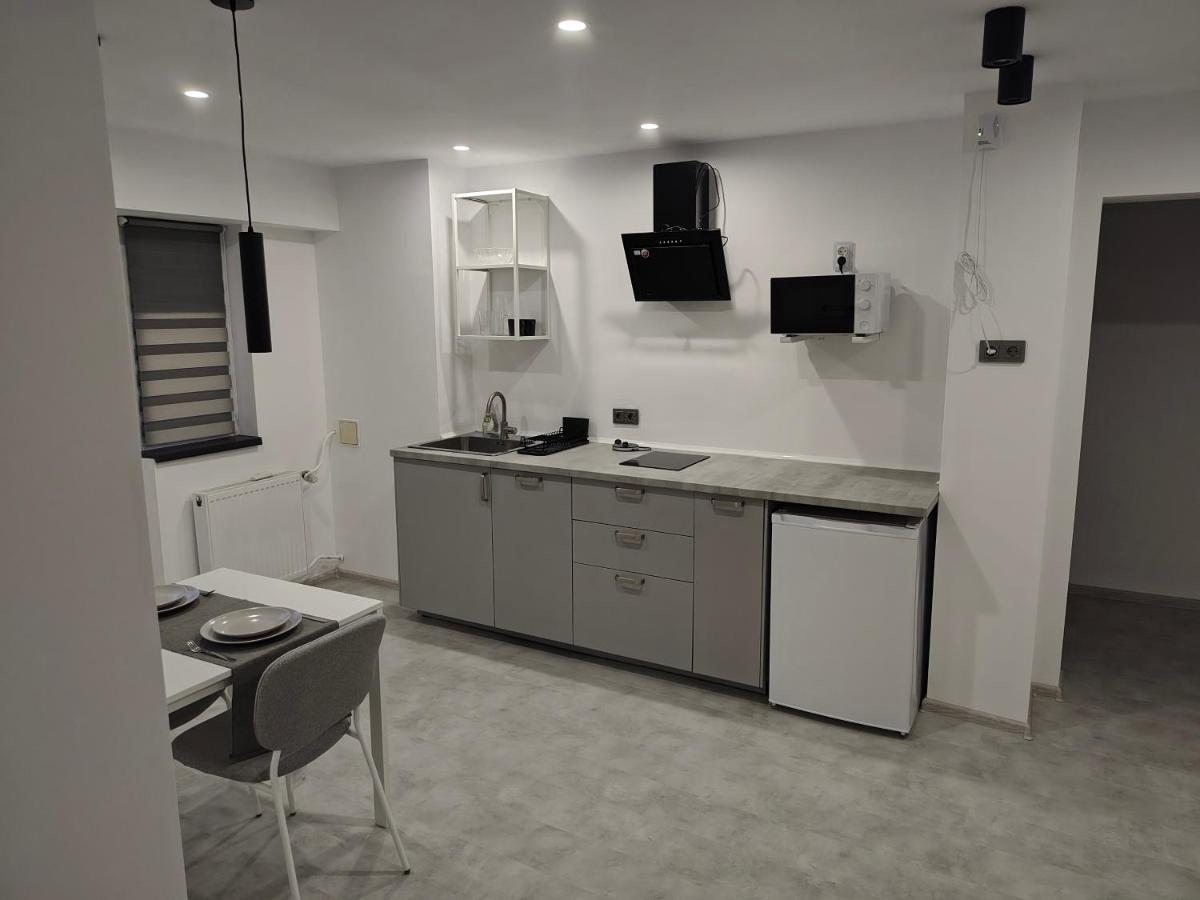 Ariana Apartment by EasyBucharest - Housity