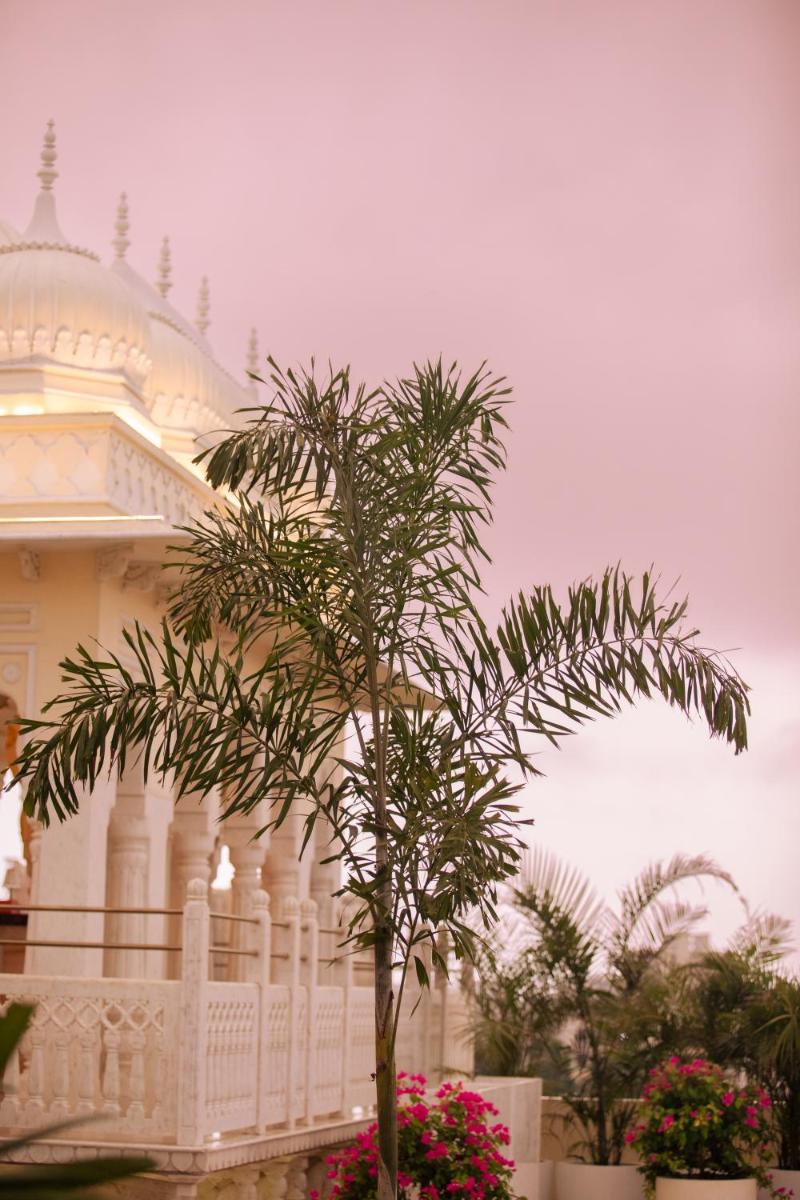 a palm tree in front of a building at Hyatt Regency Jaipur Mansarovar in Jaipur a palm tree in front of a building at Hyatt Regency Jaipur Mansarovar in Jaipur