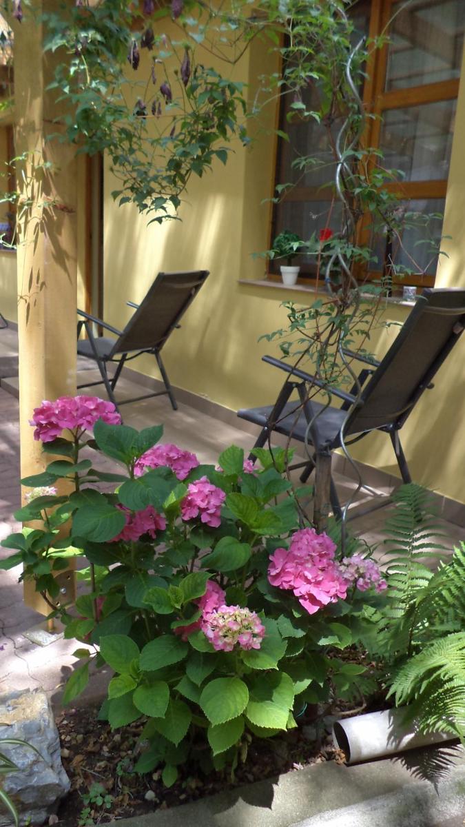 Oázis Apartman - Housity