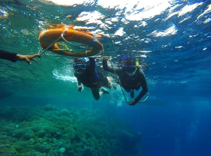 Jah’s Anemone Dive Guesthouse - Housity
