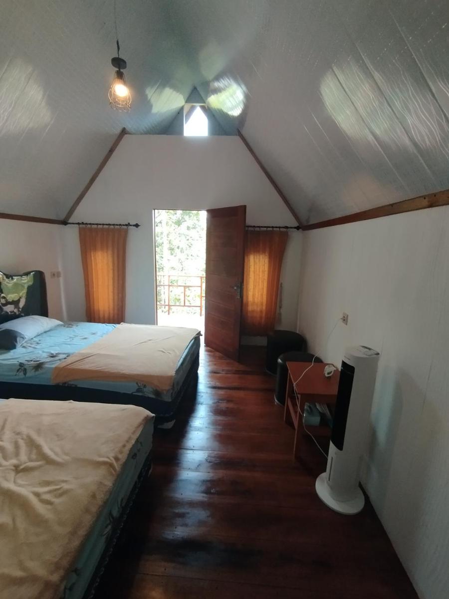 Happy Monkeys Village - Housity