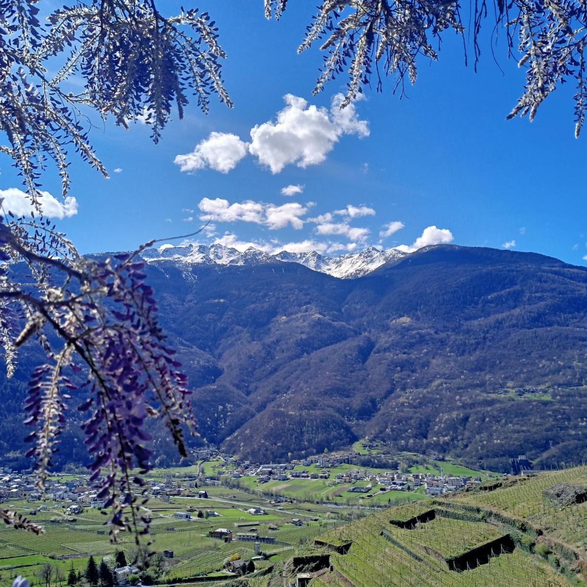 Casa il Glicine Valtellina - Housity