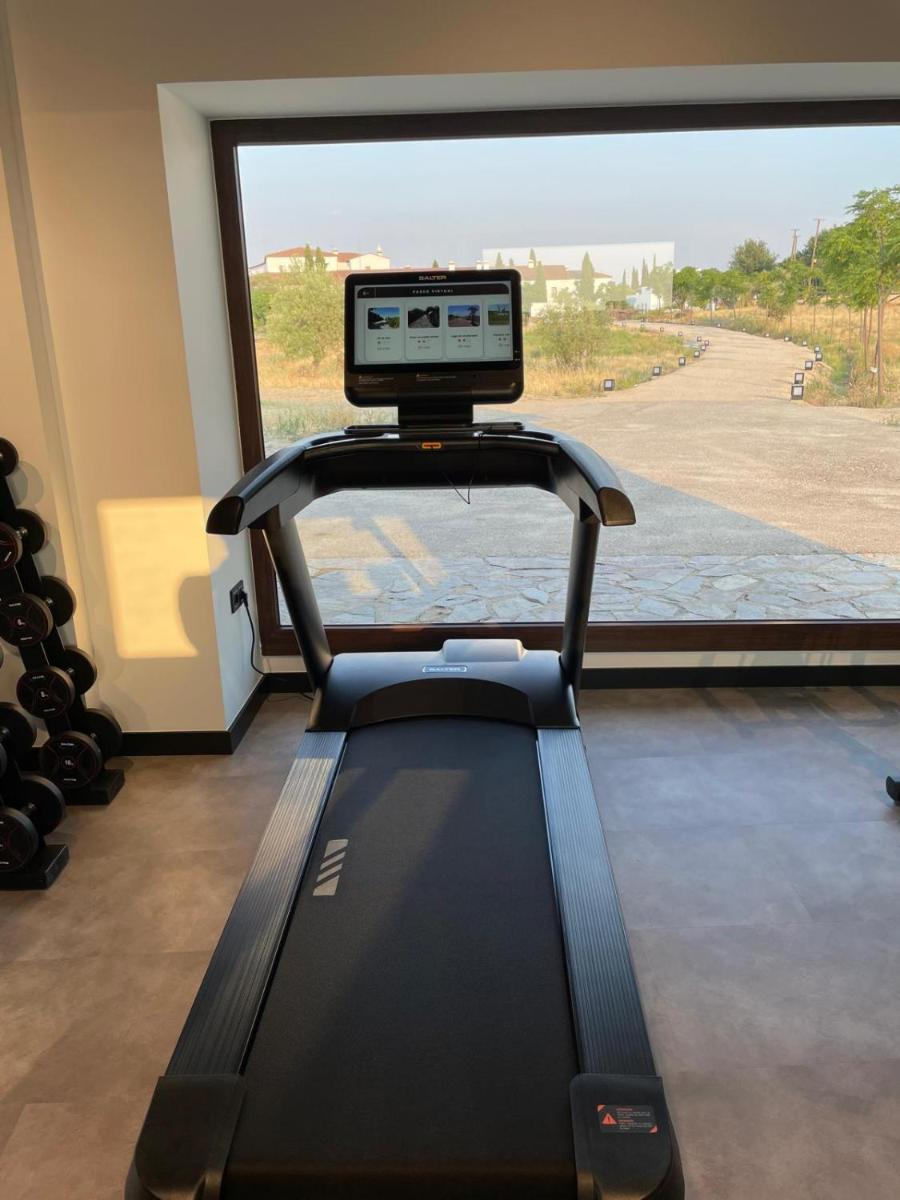 Gimnasio o instalaciones de fitness de Hospes Palacio de Arenales & Spa