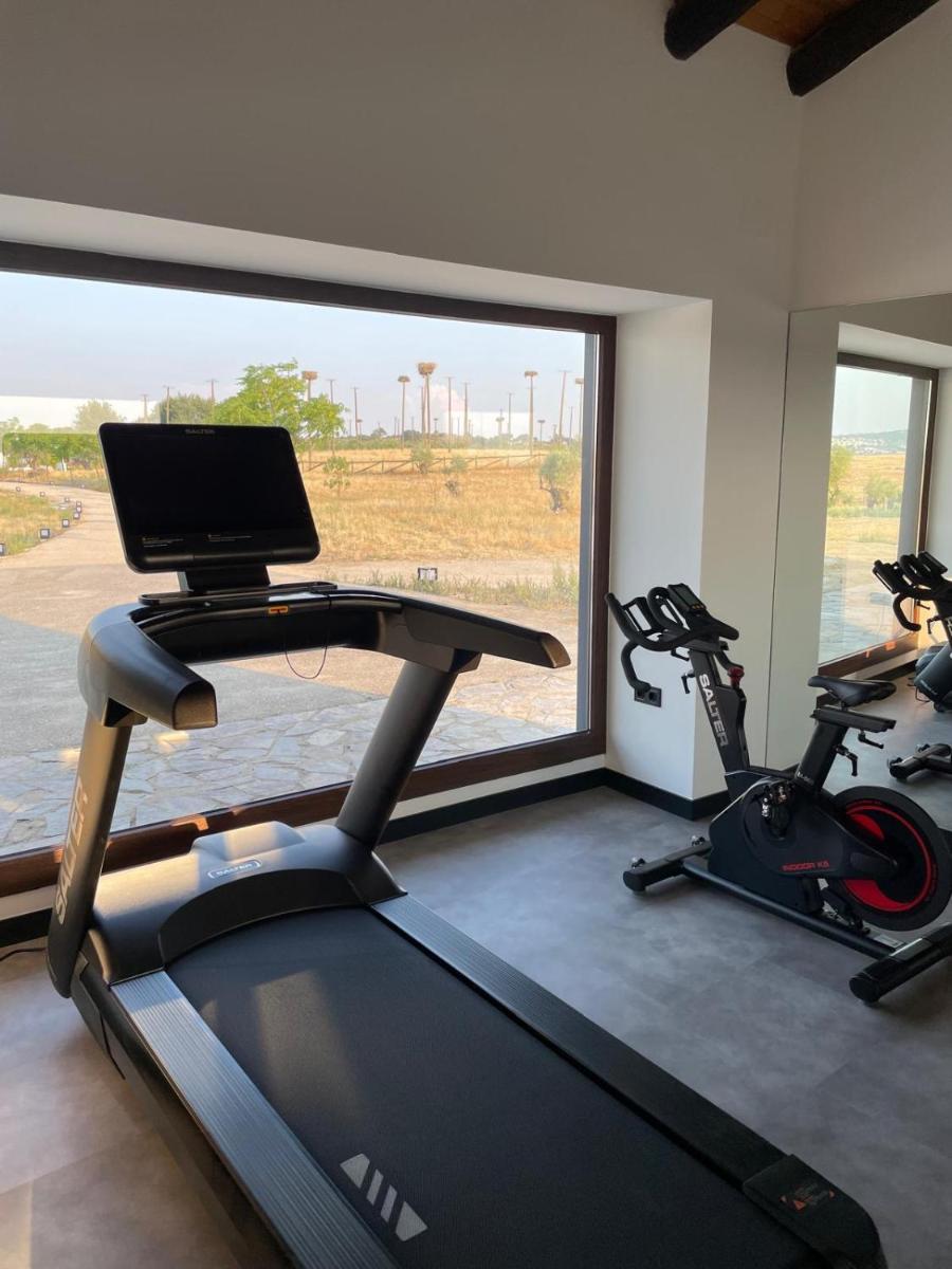 Gimnasio o instalaciones de fitness de Hospes Palacio de Arenales & Spa