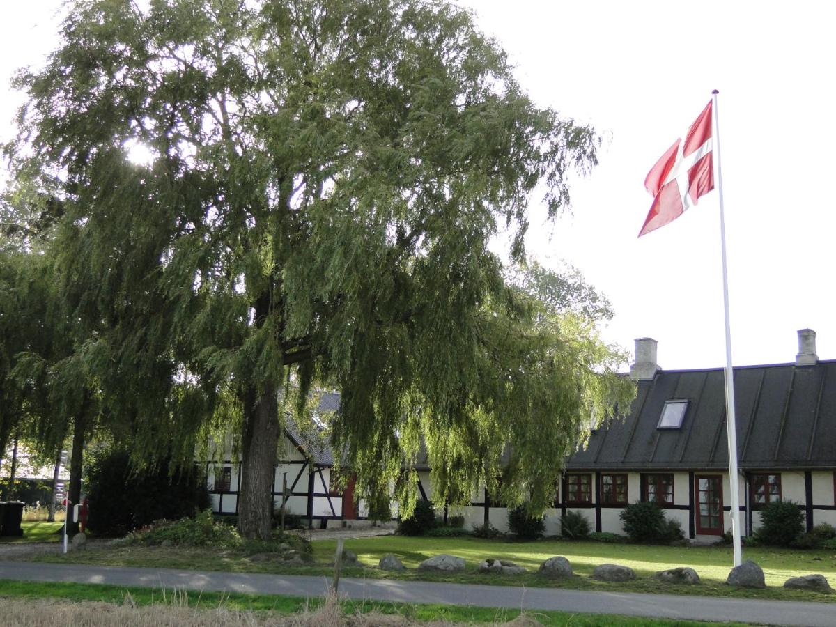 Dyssegaard B&B - Housity