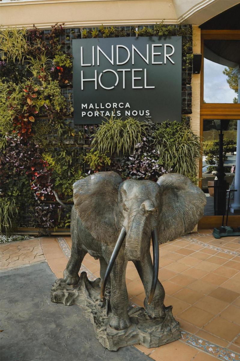 Imagen de la galería de Lindner Hotel Mallorca Portals Nous, part of JdV by Hyatt, en Portals Nous
