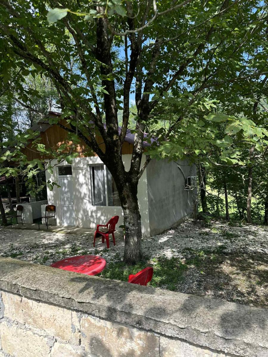 Tamuna House martvili - Housity