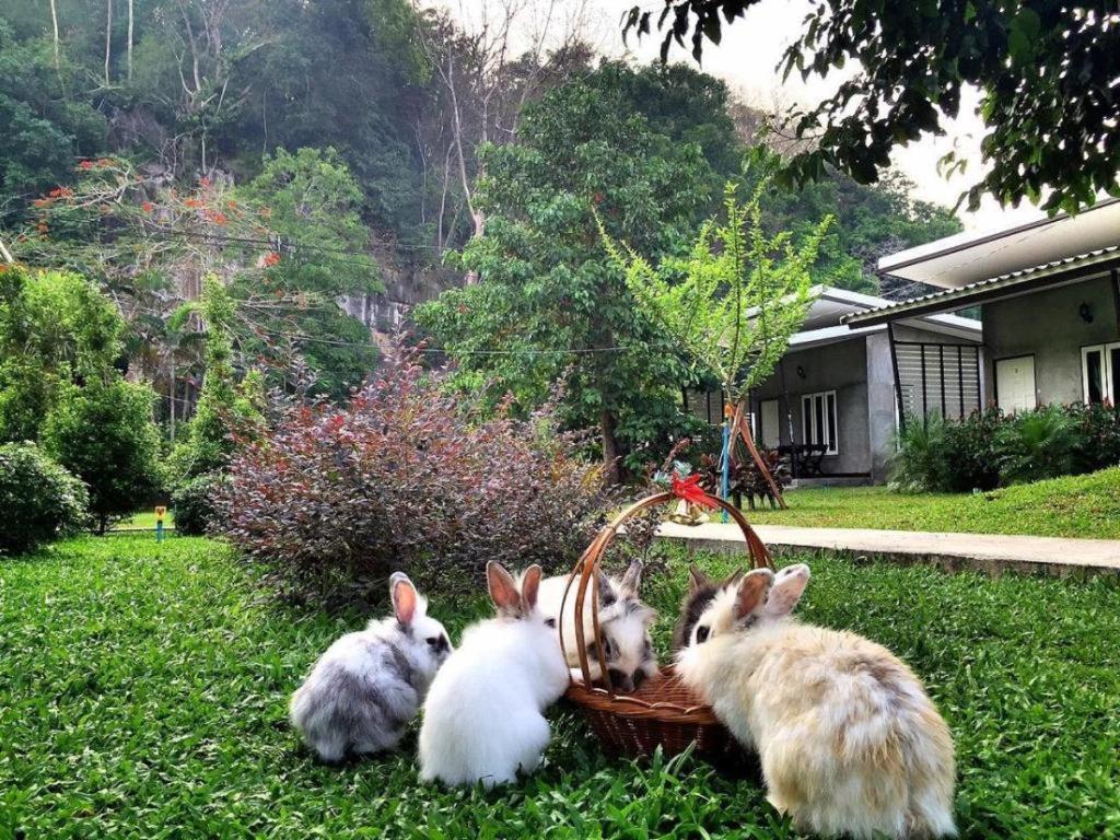 V Valley Resort - Housity