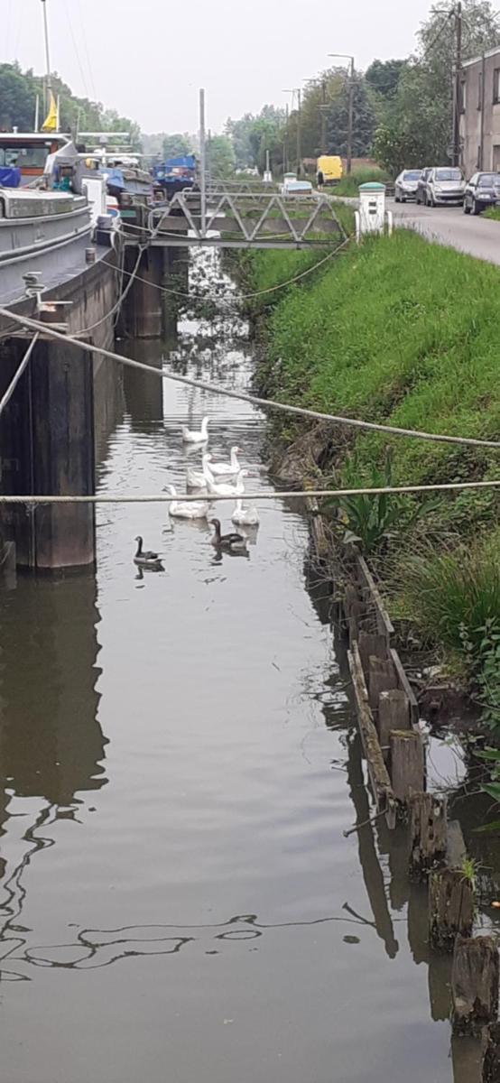 Péniche à Béthune - Housity