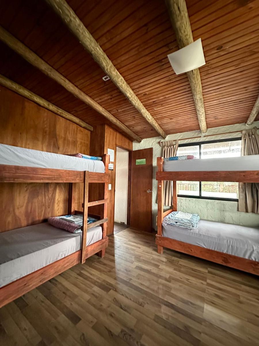 Piedra Alta Hostel & Suites - Housity